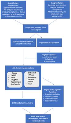 Comorbid depression and anxiety: Integration of insights from attachment theory and cognitive neuroscience, and their implications for research and treatment